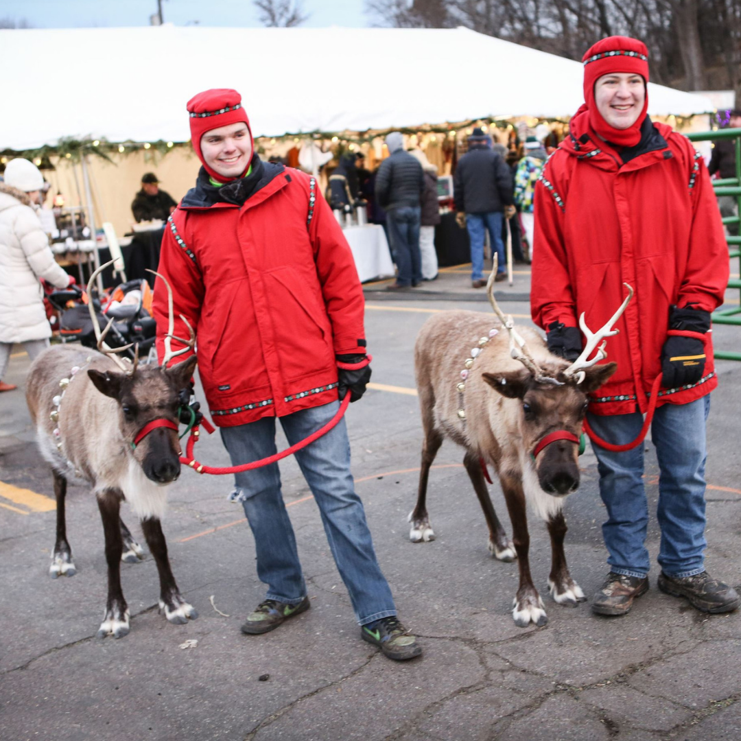 Reindeer at Christkindlsmarkt in Excelsior.jpg