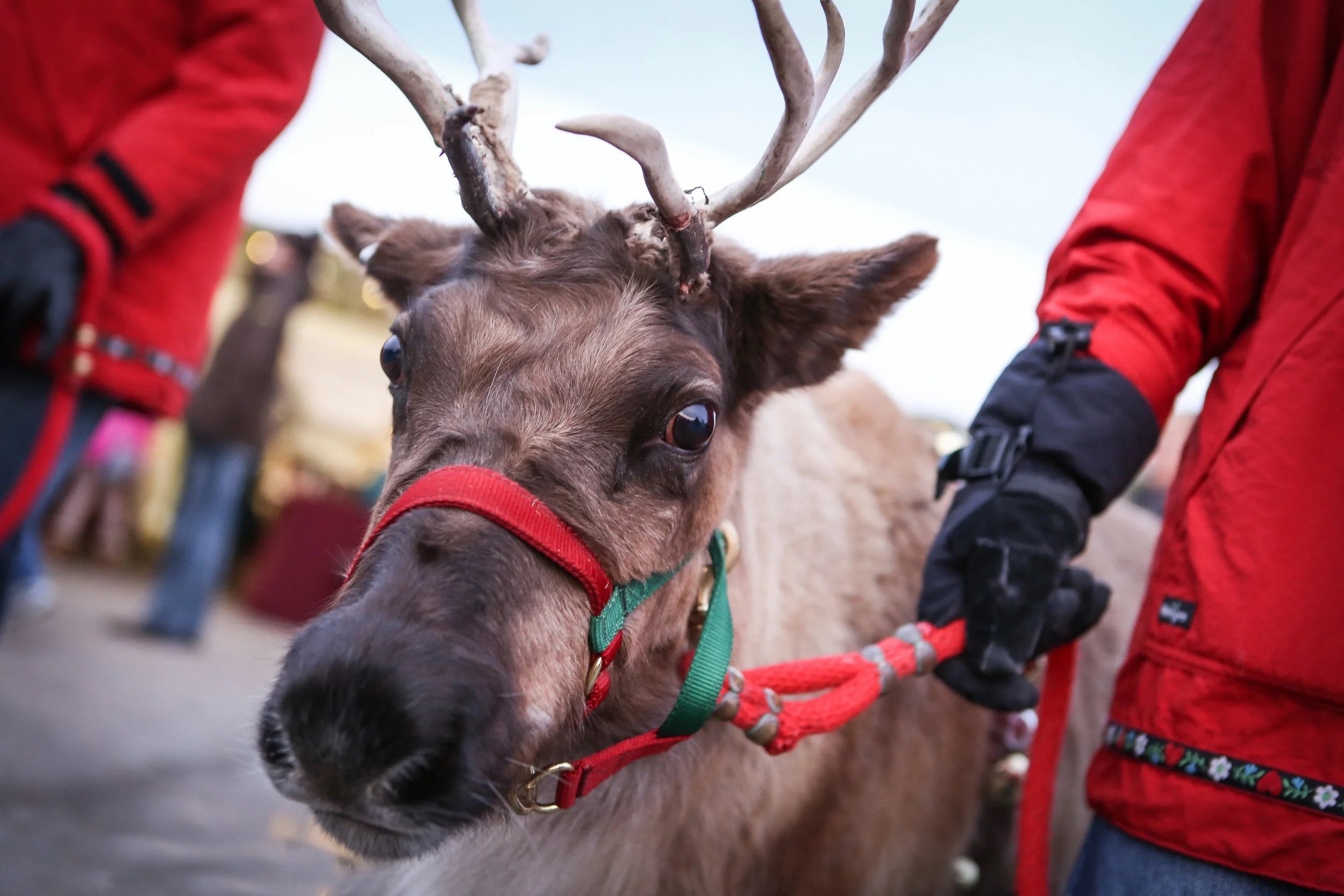 2013 Christkindlsmarkt 1.jpg